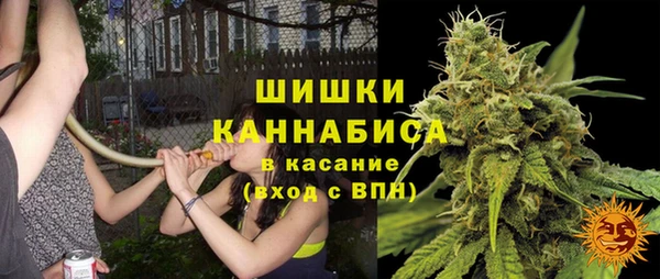 эйфоретик Калининец