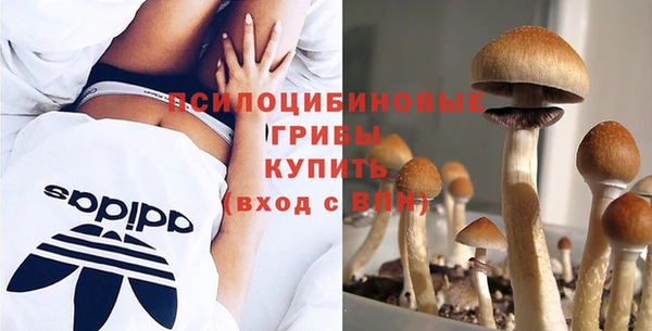 амф Кукмор