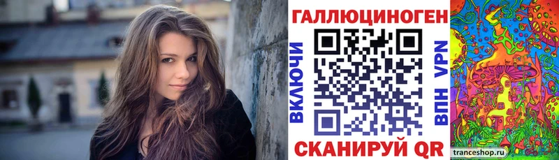 Купить  Лосино-Петровский  Псилоцибиновые грибы Psilocybine cubensis 